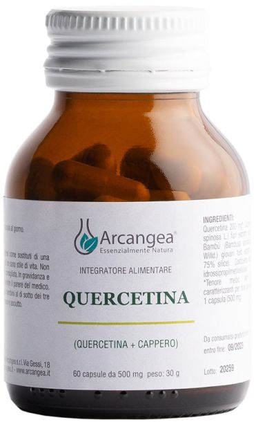 QUERCETINA 60CPS 500MG