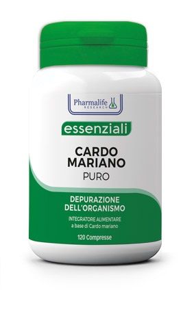 CARDO MARIANO PURO