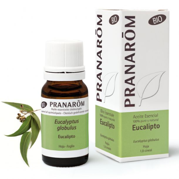 olio essenziale Eucalipto - 10 ml